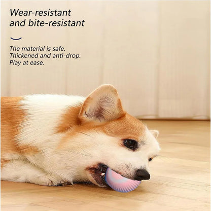 Interactive Cat Toys Bundle 3-in-1: Automatic Rolling Ball & Remote Control Car, Smart Kitten Play Set for Indoor Cats (Safe )