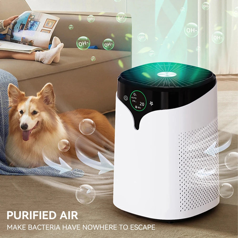 PM2.5 Air Purifier Negative Ion Purifier Pet Hair Dust Smog Air Purifier with Digital Display & Timer for Home
