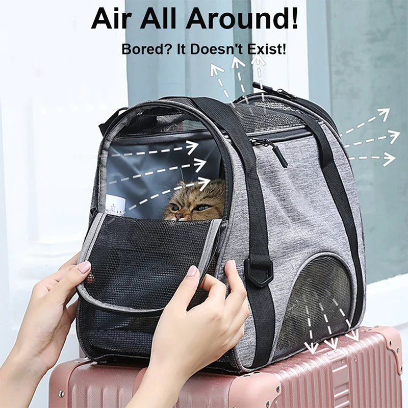 Cat Bags Portable Puppy Dog Carrier Bag Cats Handbag Mesh Breathable Foldable Travel Pet Bag Pet Carrying Supplies