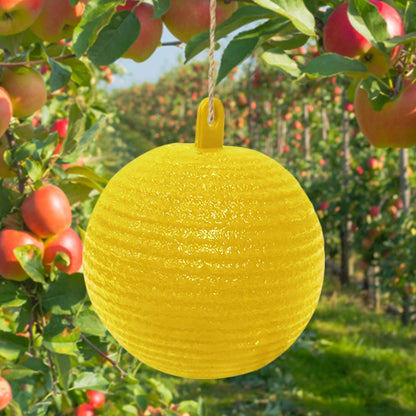 Hanging Fly Trap Pest Control Ball Fruit Fly Catcher 8cm Wasp Bee Insect Trap Gnat Traps for Indoor Outdoor House Kitchen Plants
