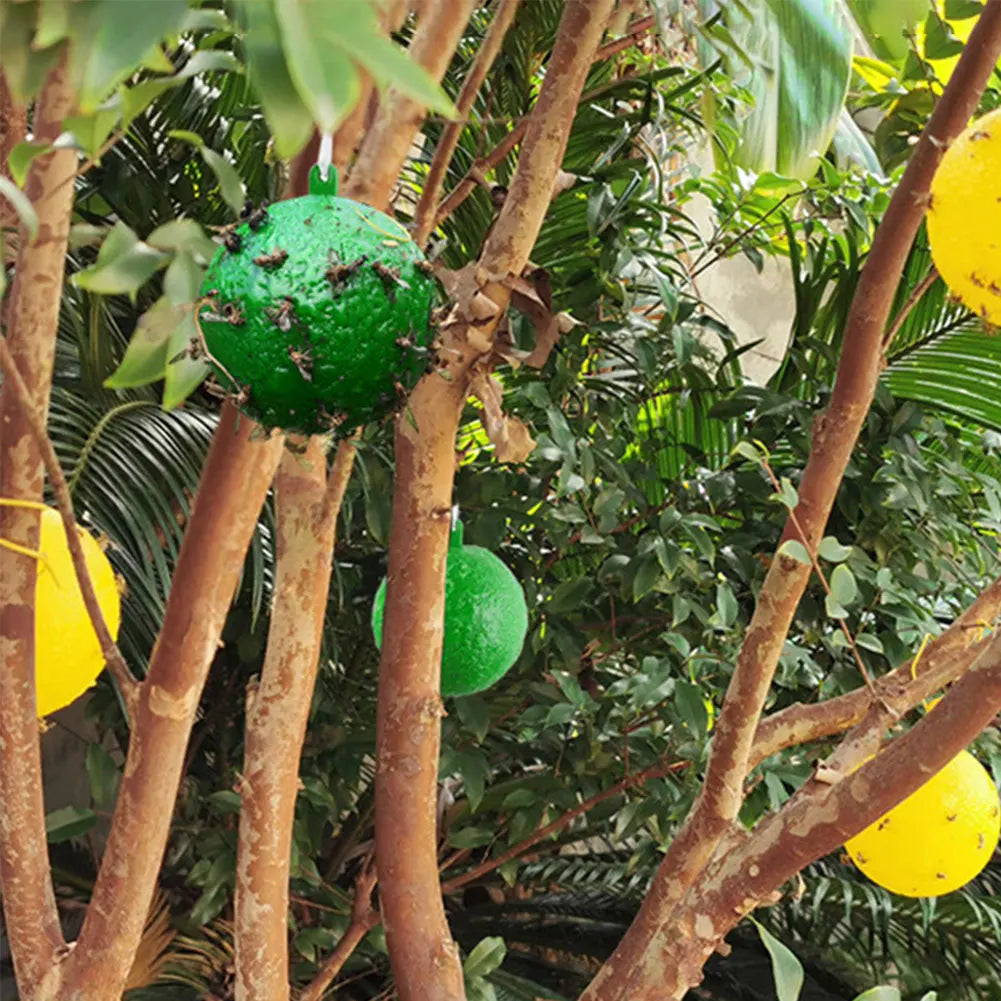 Hanging Fly Trap Pest Control Ball Fruit Fly Catcher 8cm Wasp Bee Insect Trap Gnat Traps for Indoor Outdoor House Kitchen Plants