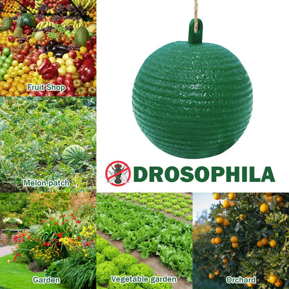 Hanging Fly Trap Pest Control Ball Fruit Fly Catcher 8cm Wasp Bee Insect Trap Gnat Traps for Indoor Outdoor House Kitchen Plants