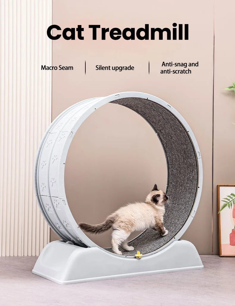 Cat Running Exercise Wheel Treadmill, Ultra-Quiet Safety Cat Training Toy with and Locking Mechanism,Removable Carpeted Runway