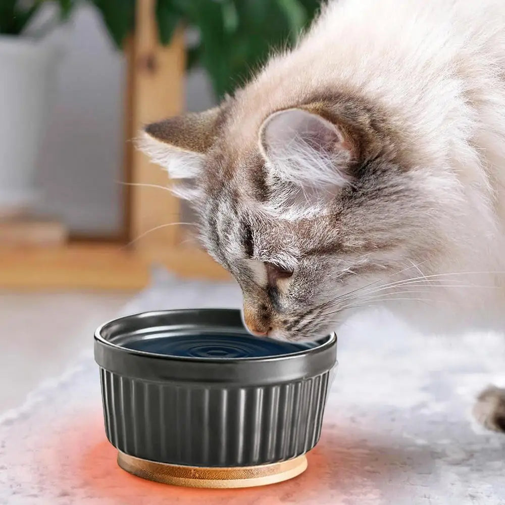 Heated Water Bowl For Cats Thermostatic Heating Dog Dish Ceramic Pet Food Dish For Home Outdoor Use Winter Dog Feeding Station