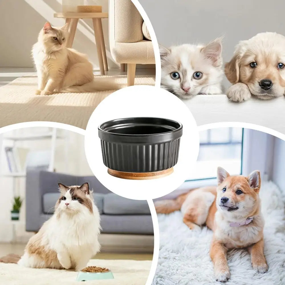 Heated Water Bowl For Cats Thermostatic Heating Dog Dish Ceramic Pet Food Dish For Home Outdoor Use Winter Dog Feeding Station