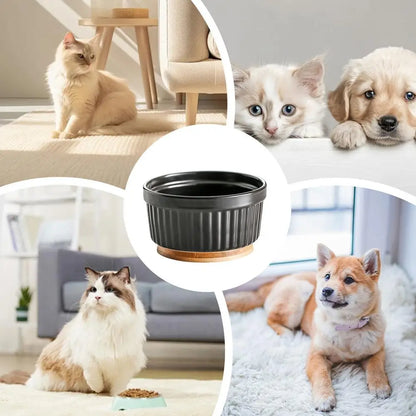 Heated Water Bowl For Cats Thermostatic Heating Dog Dish Ceramic Pet Food Dish For Home Outdoor Use Winter Dog Feeding Station