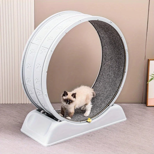Cat Running Exercise Wheel Treadmill, Ultra-Quiet Safety Cat Training Toy with and Locking Mechanism,Removable Carpeted Runway