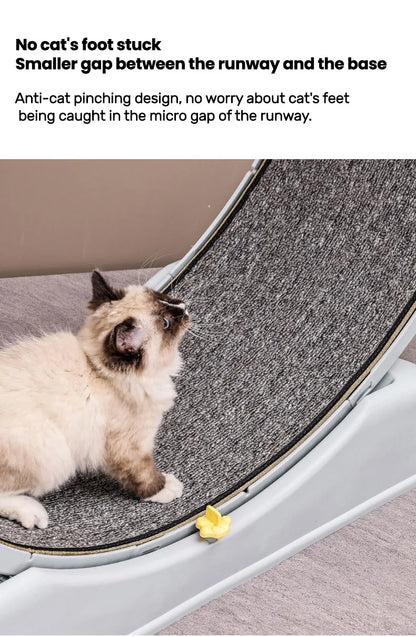Cat Running Exercise Wheel Treadmill, Ultra-Quiet Safety Cat Training Toy with and Locking Mechanism,Removable Carpeted Runway