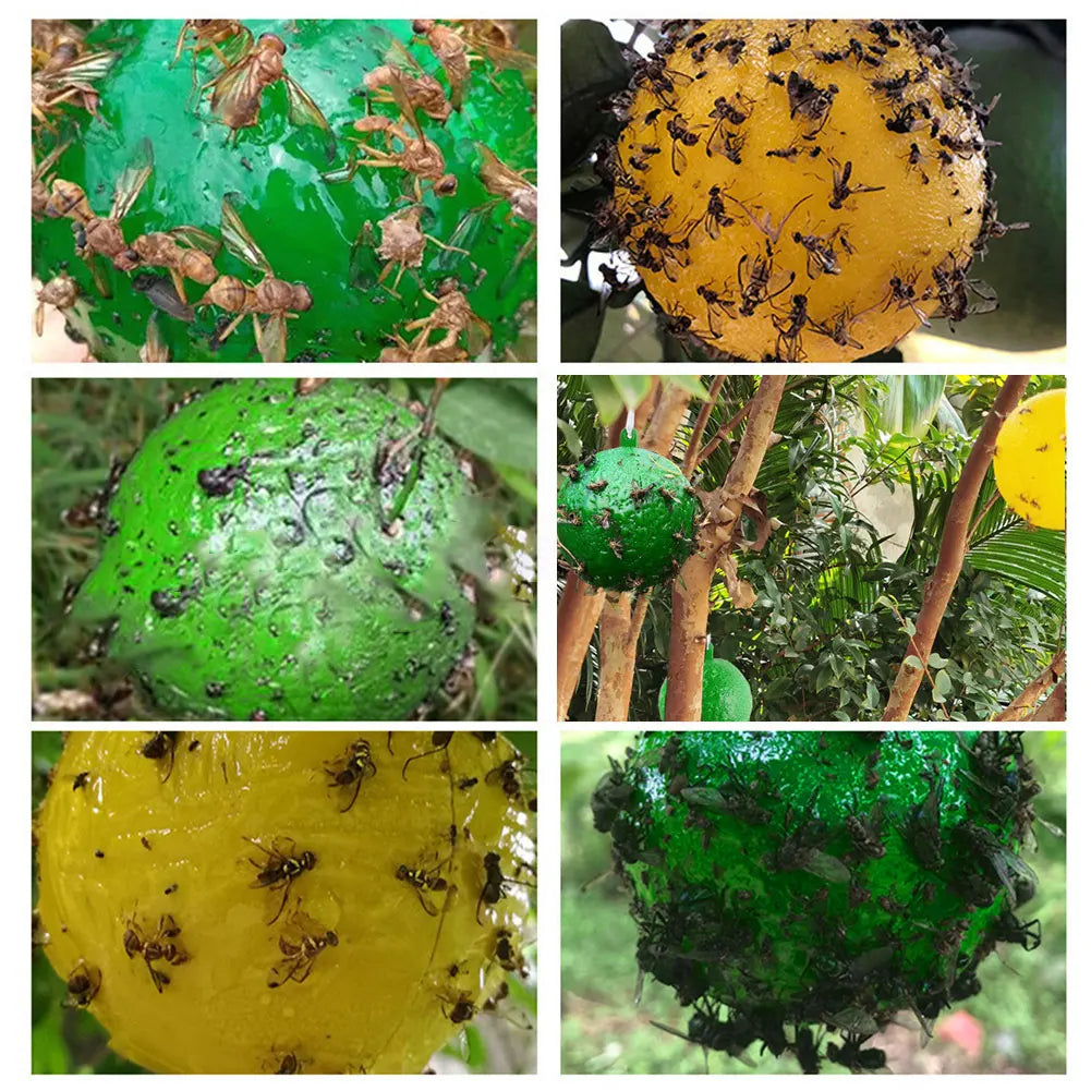 Hanging Fly Trap Pest Control Ball Fruit Fly Catcher 8cm Wasp Bee Insect Trap Gnat Traps for Indoor Outdoor House Kitchen Plants