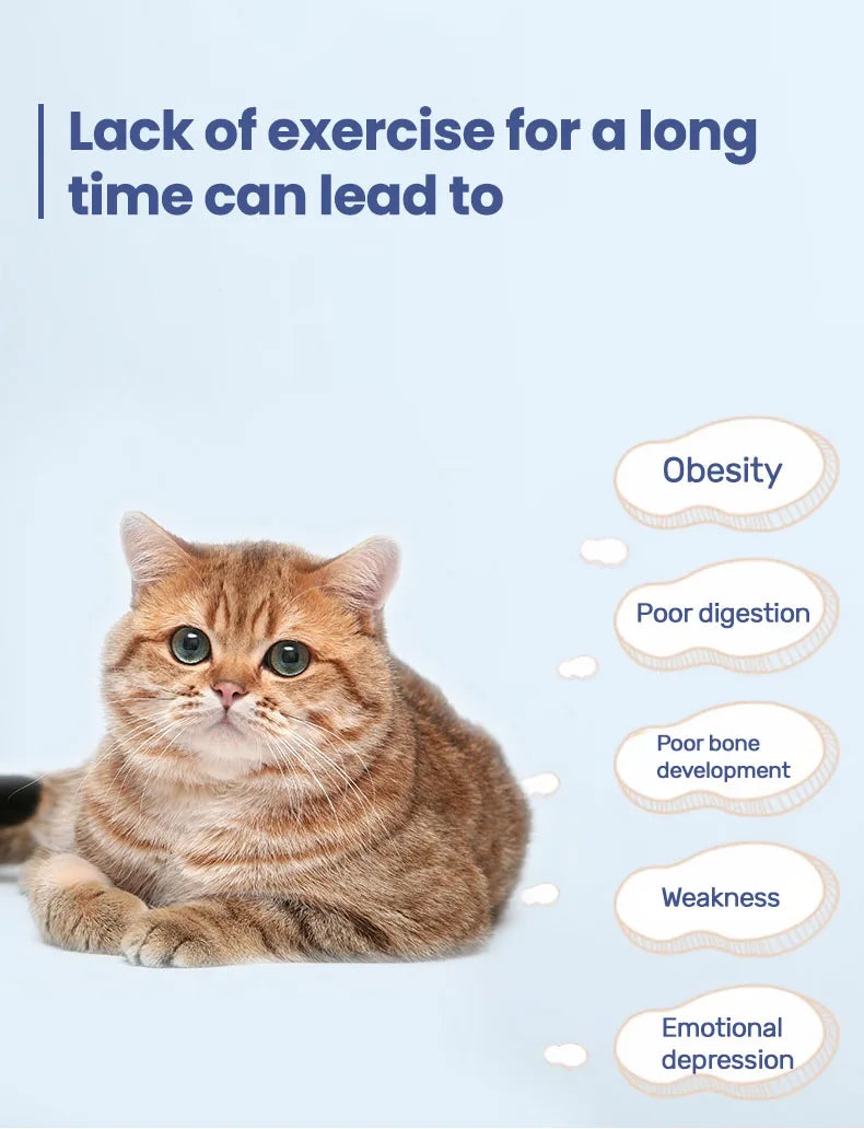 Cat Running Exercise Wheel Treadmill, Ultra-Quiet Safety Cat Training Toy with and Locking Mechanism,Removable Carpeted Runway