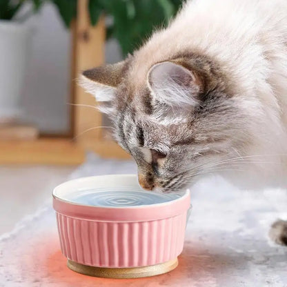 Heated Water Bowl For Cats Thermostatic Heating Dog Dish Ceramic Pet Food Dish For Home Outdoor Use Winter Dog Feeding Station