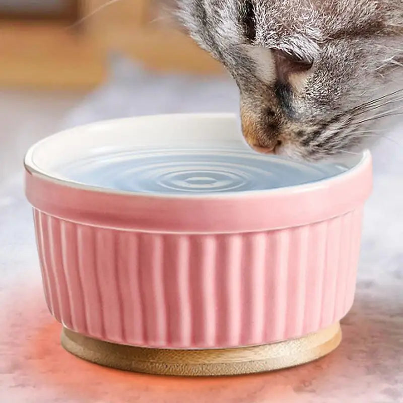 Heated Water Bowl For Cats Thermostatic Heating Dog Dish Ceramic Pet Food Dish For Home Outdoor Use Winter Dog Feeding Station