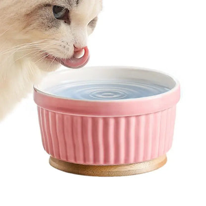 Heated Water Bowl For Cats Thermostatic Heating Dog Dish Ceramic Pet Food Dish For Home Outdoor Use Winter Dog Feeding Station